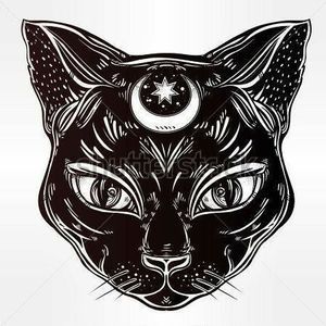 Meet your Posher, Faye